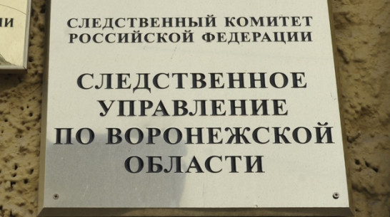 В текущем году воронежские следователи направили в суд 46 уголовных дел по фактам коррупции