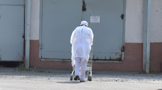 Жертвами COVID-19 стали 13 жителей Воронежской области за сутки