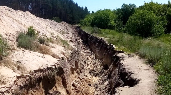 Экс-губернатор Воронежской области Алексей Гордеев проследит за ситуацией с озером Круглое