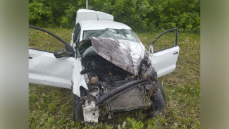 В страшном ДТП в Воронежской области погиб 29-летний водитель иномарки