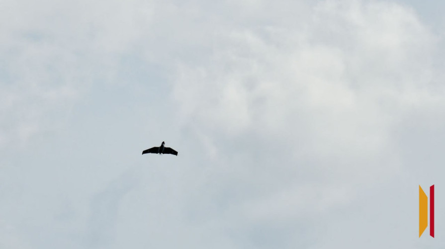 В Воронежской области сбили 24 БПЛА в ночь на 19 января