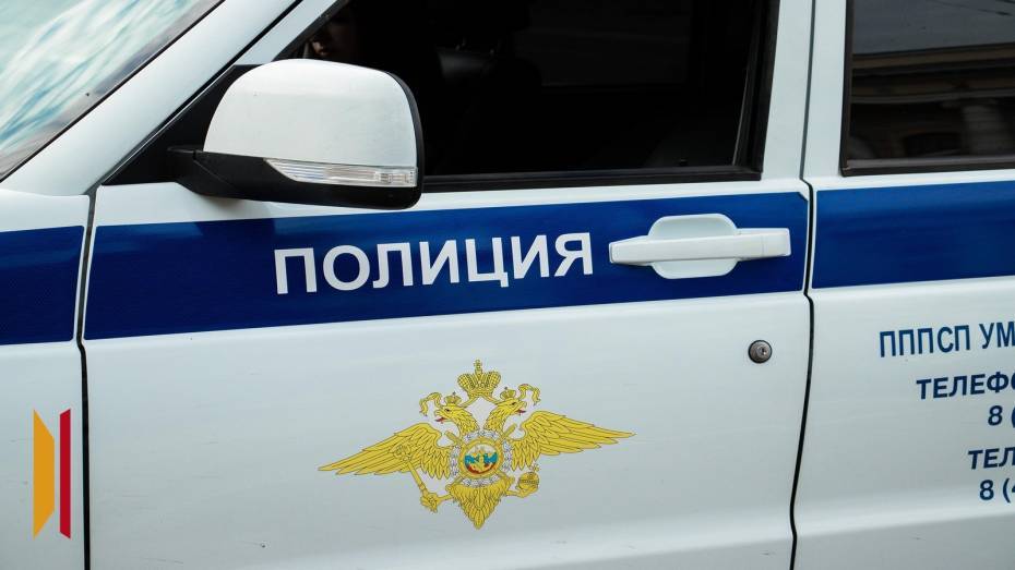 В Воронежской области полицейские задержали пьяную 45-летнюю женщину на Skoda