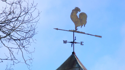 В Воронежской области продлили предупреждение о сильном ветре