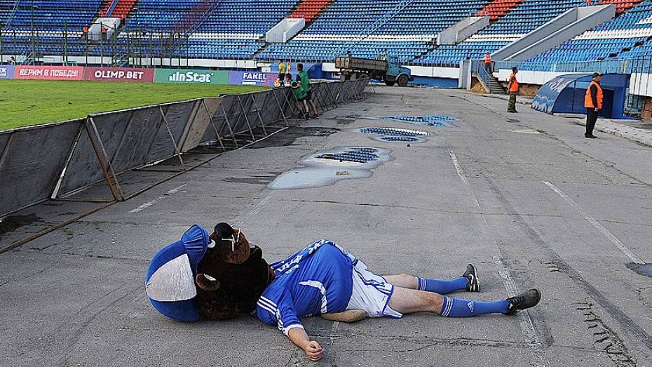 Воронежцы смогут бесплатно посетить заповедник в костюме бобра