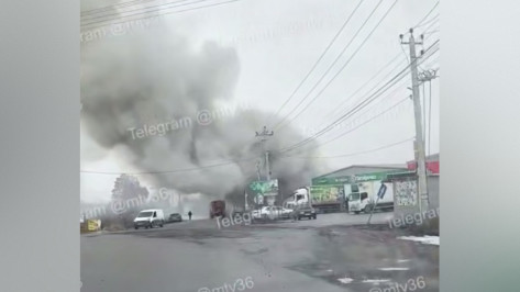 В воронежском селе Медовка днем 18 марта загорелся старый магазин: видео