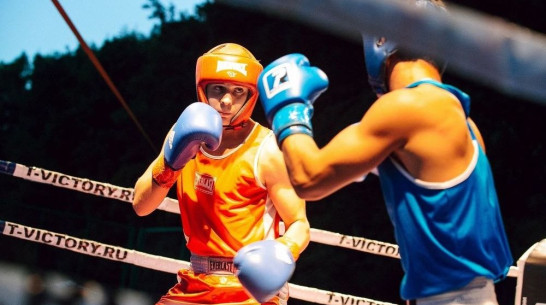 Три луганских боксера выступят за Воронеж