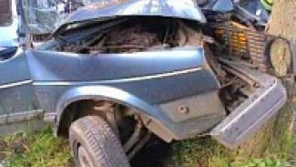 В Воронежской области за сутки случилось 196 ДТП