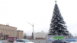 Главная елка Воронежа вошла в топ-20 самых высоких в России