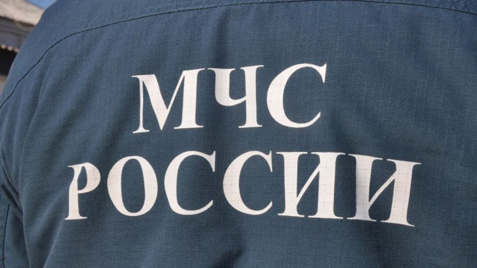 В Воронеже сотрудник МЧС получил 7 лет условно за взятку