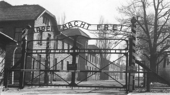 Воронежцы увидят исторические фотографии из концлагерей Аушвиц и Фалстад