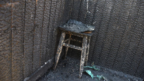 Пожар в частном доме в центре Воронежа унес жизни двух человек 29 июля