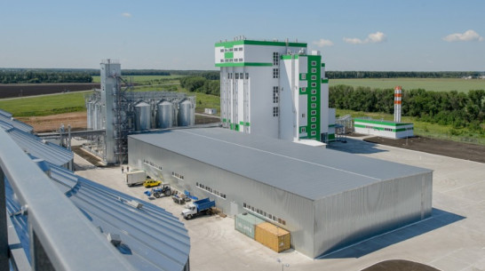 В Воронежской области заработал современный комбикормовый завод