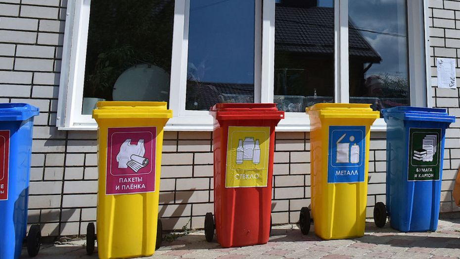 В райцентре в Воронежской области появятся 14 площадок для раздельного сбора мусора