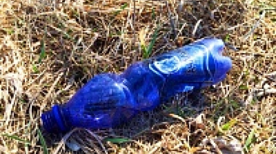 Воронежские дачники замусорили более 14 гектаров