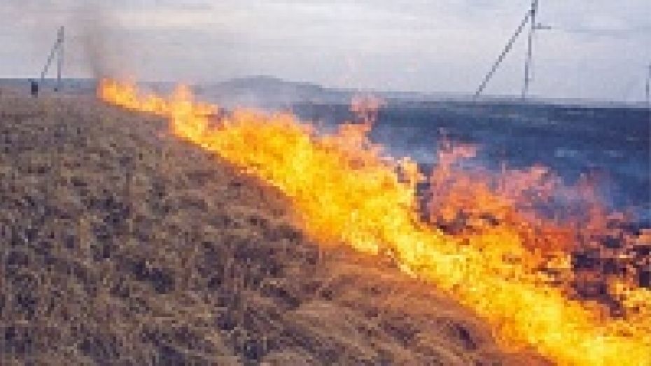 В Кантемировке из-за палов сухой травы произошло несколько серьезных возгораний