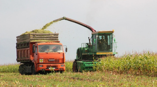 Россошанский и Лискинский районы победили в экономическом соревновании в 2015 году