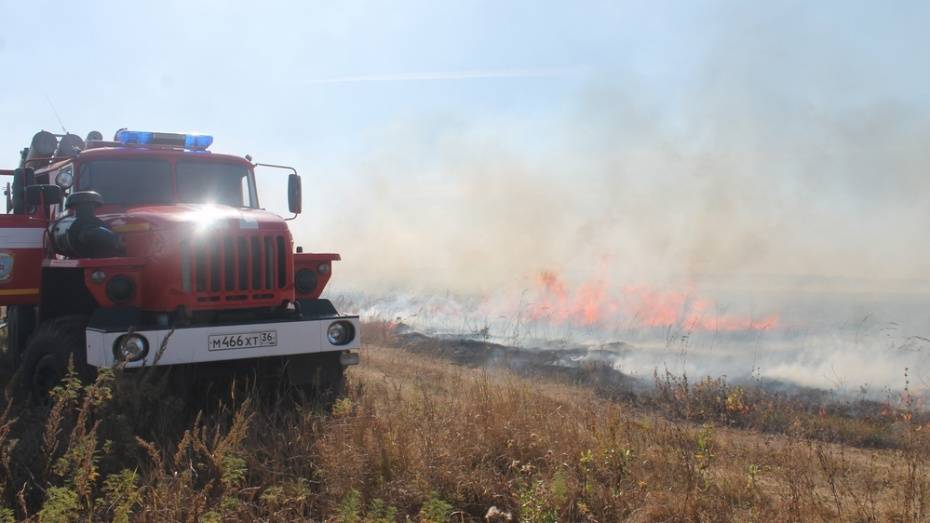 В Рамонском районе потушили 2 ландшафтных пожара