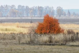 Главный метеоролог Воронежской области рассказал о погоде в ноябре