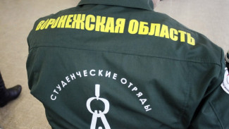 Воронежские студотряды предложили помощь в восстановлении психинтерната в Алферовке