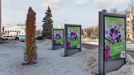 Фотография с видом Воронежа украсила сайт посольства Франции в России
