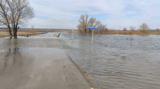 Частично ушел под воду мост через реку Черная Калитва в селе Воронежской области