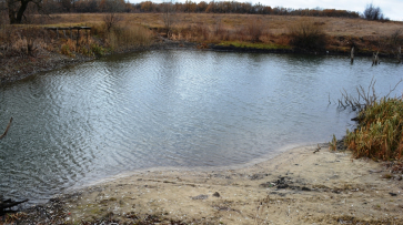 Обмелевшие пруды  Нижнедевицкого  района исключат из перечня гидротехнических сооружений 