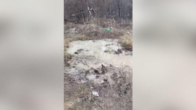 Воронежские экологи обратились в полицию для поиска сливших бетон рабочих