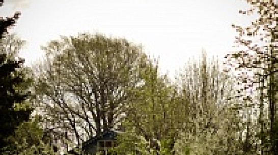 Самая хорошая погода на этой неделе придется на 1 мая