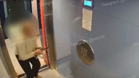 В воронежском ЖК «Мандарин» женщина выбросила котят в лифт: видео