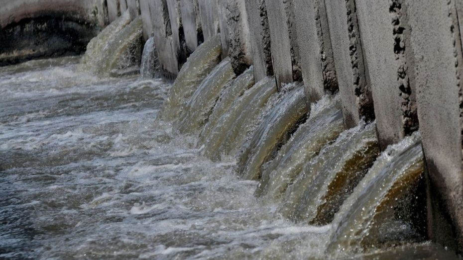 Руководство ЛОС обвинило воронежский водоканал в сбросе токсичных стоков