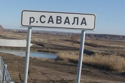 Расчистку реки Савала в Воронежской области будет контролировать губернатор