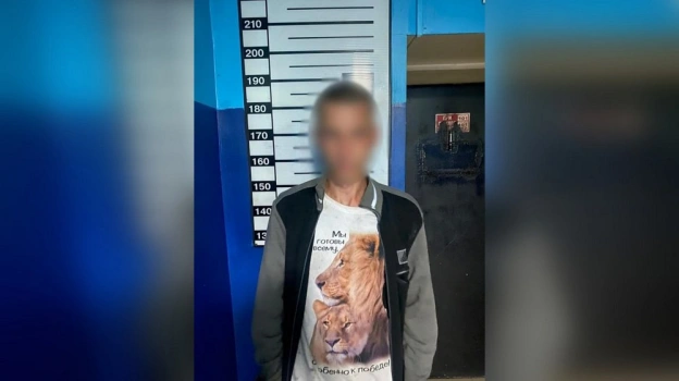 Серийного дачного вора арестовали в Воронеже