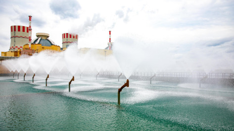 Нововоронежская АЭС готова к бесперебойной работе в период прохождения весеннего паводка