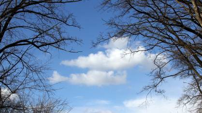 Воронежцев ждут теплые и солнечные выходные