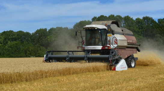«Россельхозбанк» предоставит воронежскому предприятию дополнительный кредитный лимит