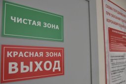 На обработку очагов инфекций в Воронежской области готовы потратить более 22 млн рублей