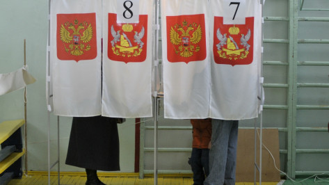 Две парламентские партии подали документы на выборы в Воронежскую облдуму