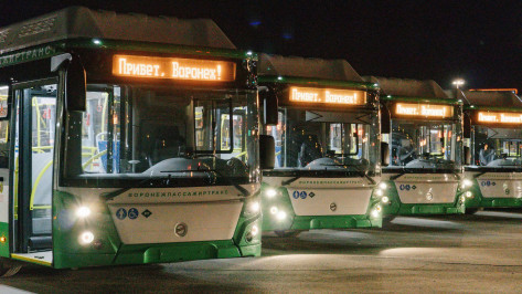 Воронеж встретил 30 больших современных автобусов из новой партии