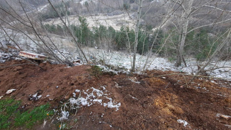 Незаконную свалку биоотходов обнаружили в Воронеже