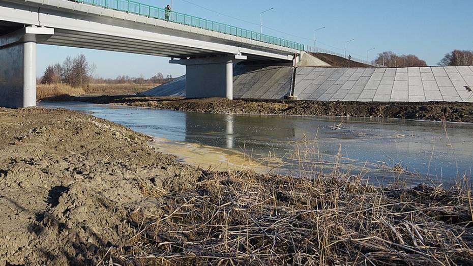 Власти начали искать подрядчика для расчистки реки Савала в Воронежской области