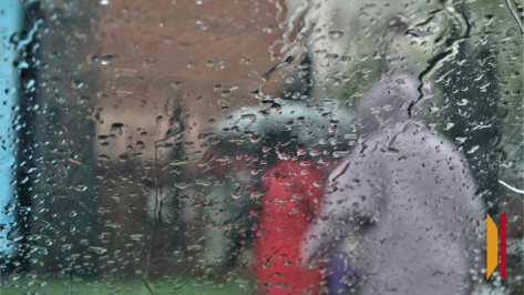 Воронежцев ждет дождливая и облачная рабочая неделя