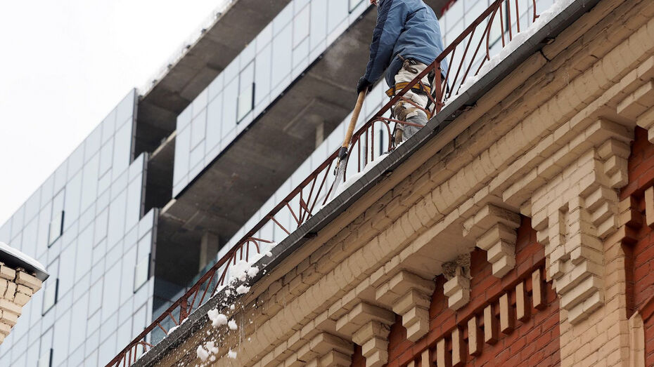 Глава города поручил очистить крыши соцучреждений Воронежа от снега к 11 февраля