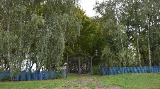 В грибановском селе Малая Грибановка кладбище благоустроят в 2022 году
