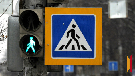 Воронежская Госавтоинспекция проверит пешеходов на соблюдение ПДД