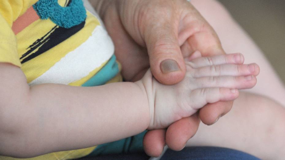 Деньги вместо земли получат 250 многодетных семей в Воронежской области в 2021 году