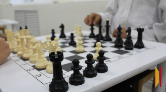 Шахматный турнир памяти историка Владимира Загоровского пройдет в музее «Костенки»