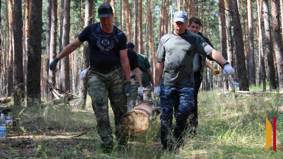 Жителей Поворинского и ближайших районов позвали на заготовку бревен для СВО