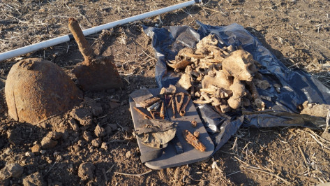 Останки 46 красноармейцев нашли в поле под Воронежем