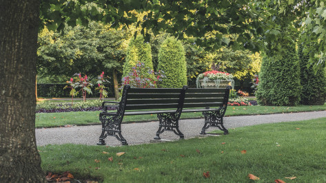 На благоустройство Центрального парка Павловска Воронежской области выделят до 35 млн рублей