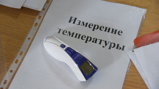 В Воронеже закрыли на карантин 29 классов в 13 школах